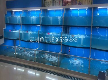 大閘蟹魚缸