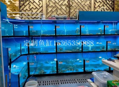 大閘蟹魚缸