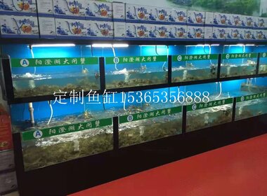 大閘蟹魚缸
